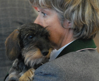 Int. Rassehundeausstellung in Wels