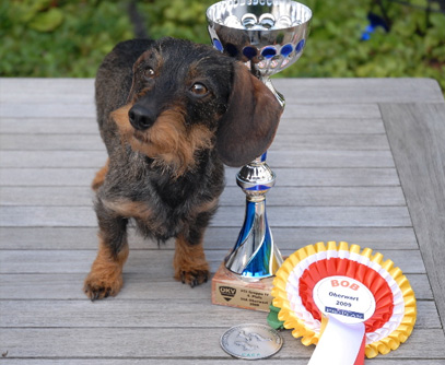 IHA Oberwart - Doppelerfolg für "Emma" und "Mizzi Huber"