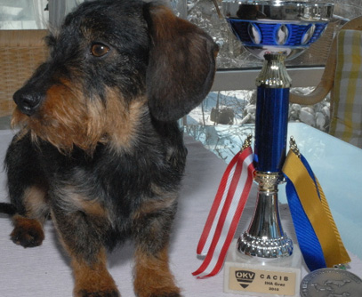 Int. Rassehundeausstellung 2010 in Graz