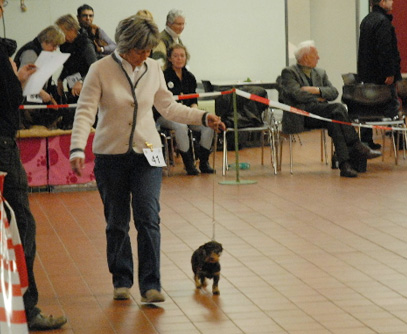 Spezial-Ausstellung in Hagen bei Dortmund