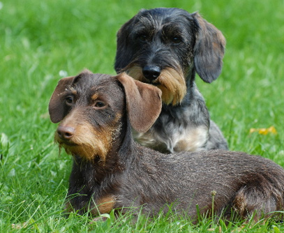 Spezial-Ausstellung in Steinbach-Hallenberg/Thüringen