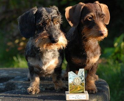 Spezial-Ausstellung in Leipzig
