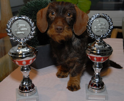 Spezial-Ausstellung der Gruppe Bendorf-Mayen in LV Rheinland-Pfalz/Saarland in Vallendar