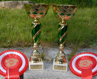 Klubsiegerschau des ÖDHK (Österr. Dachshundeklub) in Großenzersdorf/Wien